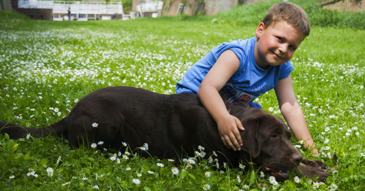 10 Surprising Facts About Your Dog’s Grass-Eating Habit - Dog Breed Pro