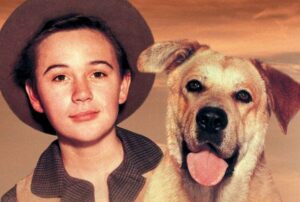 The 20 Most Iconic Dogs On Screen - Dog Breed Pro