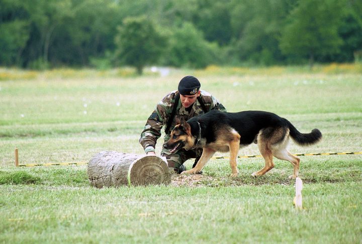 Tactical Communication