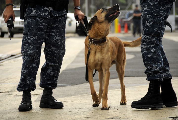 Explosive Detection