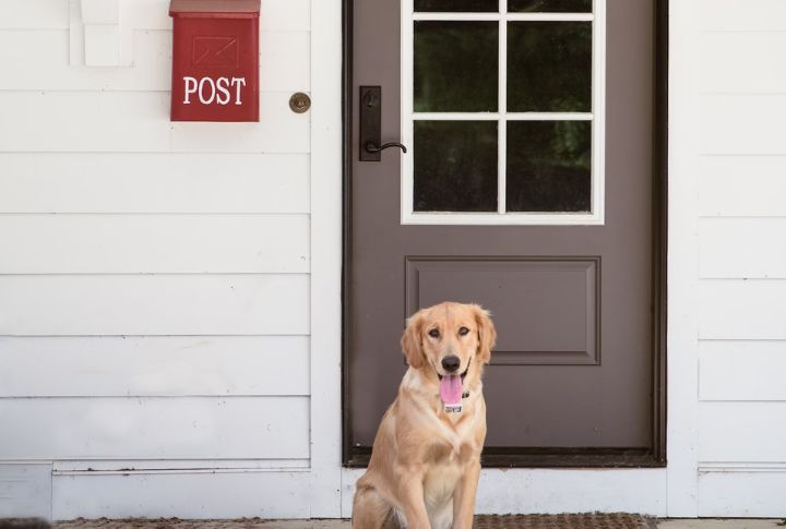 They Wait By The Door Long After You Leave