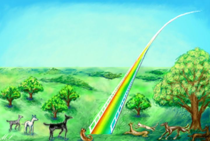 The Rainbow Bridge