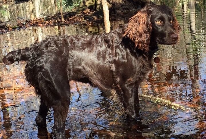 Water Work Instincts