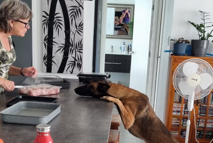 They Check Your Usual Spots Around The House