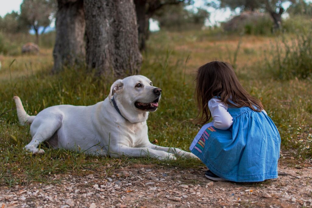 kid, dog, outdoors, little girl, girl, child, pet, animal, doggy, cute, adorable, childhood, nature, dog, dog, dog, dog, dog