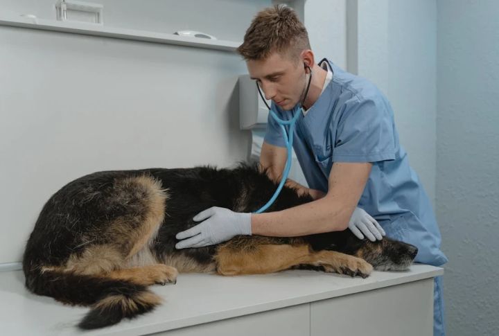 Their Needs Were Met With Care