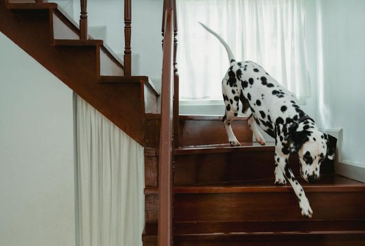 A Sudden Fear Of Stairs