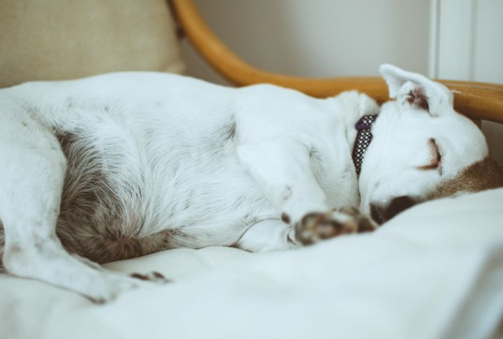 A Peaceful Sleep