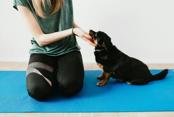 Promote Flexibility With Dog Yoga