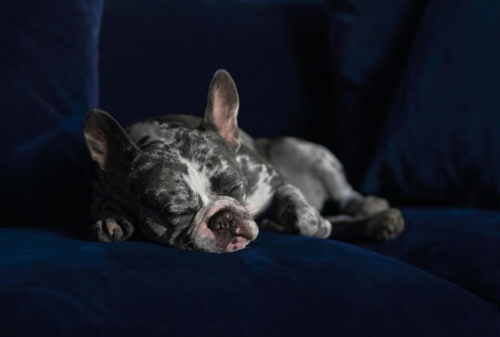 Sleeping More Than Usual