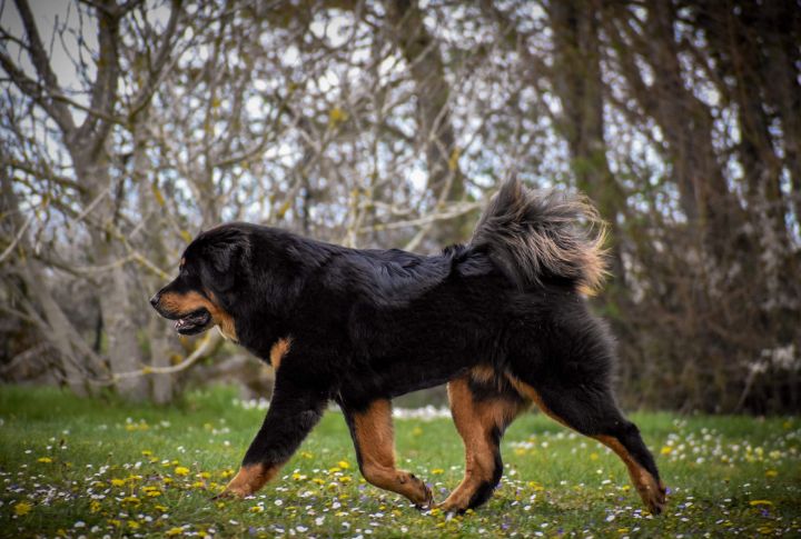 Enduring Physical Vigilance