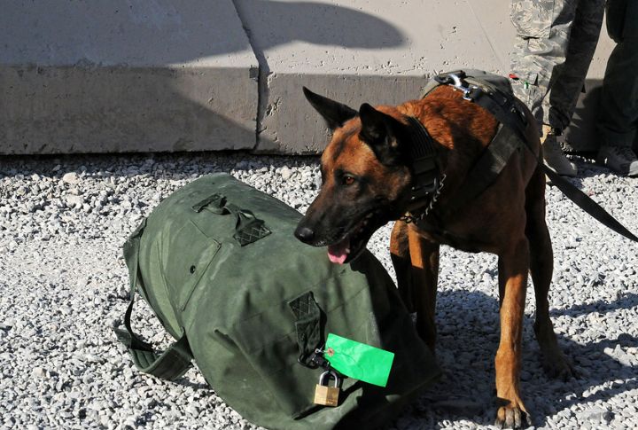 Drug Detection