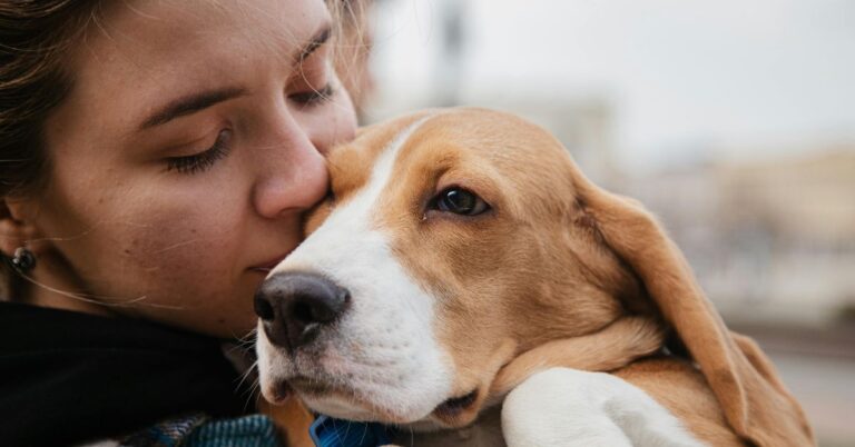 How To Know When Your Dog Needs To Change Diet