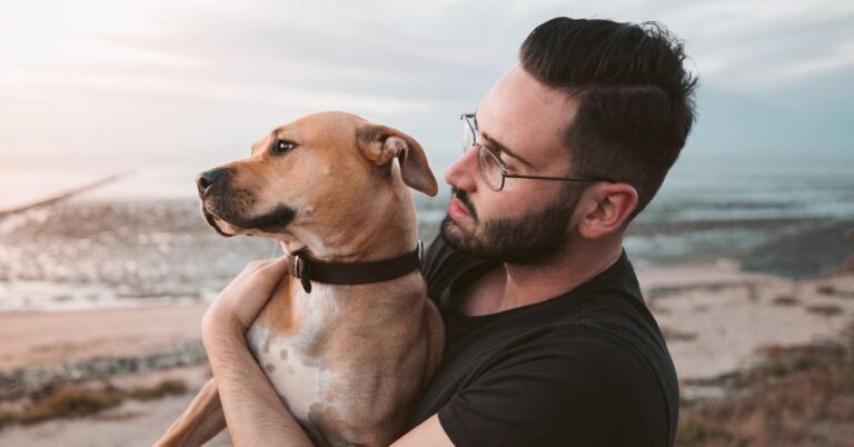 20 Comforting Beliefs About What Happens To Dogs After They Pass