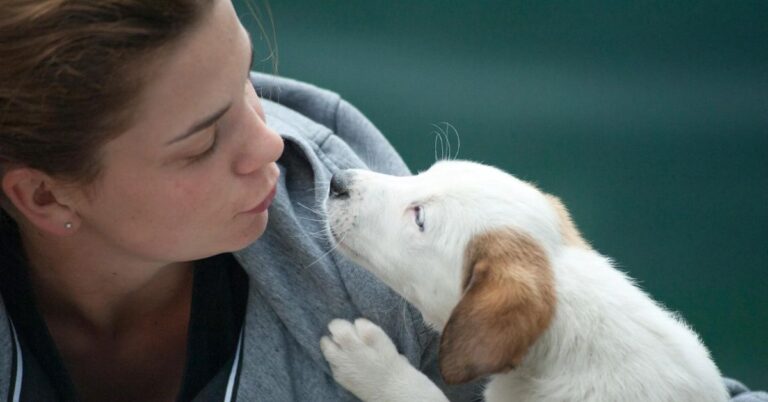 10 Clues Your Dog Misses You More Than You Think