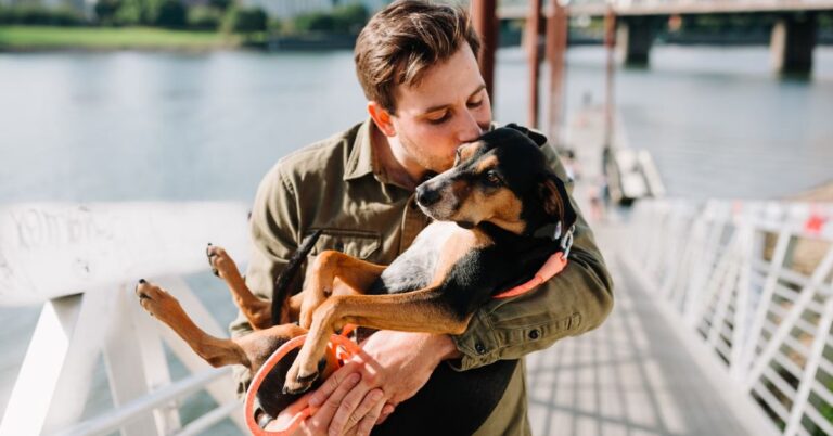 10 Quiet Truths To Hold Onto After Your Dog Is No More