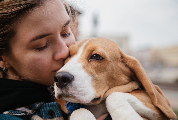 20 Ways To Keep Your Old Dog Happy And Healthy
