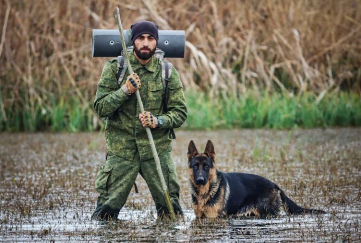 10 Steps To Start A Career In K-9 Military Operations