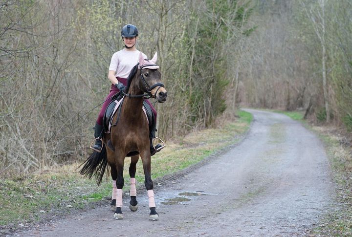 Therapeutic Rides With Real Results