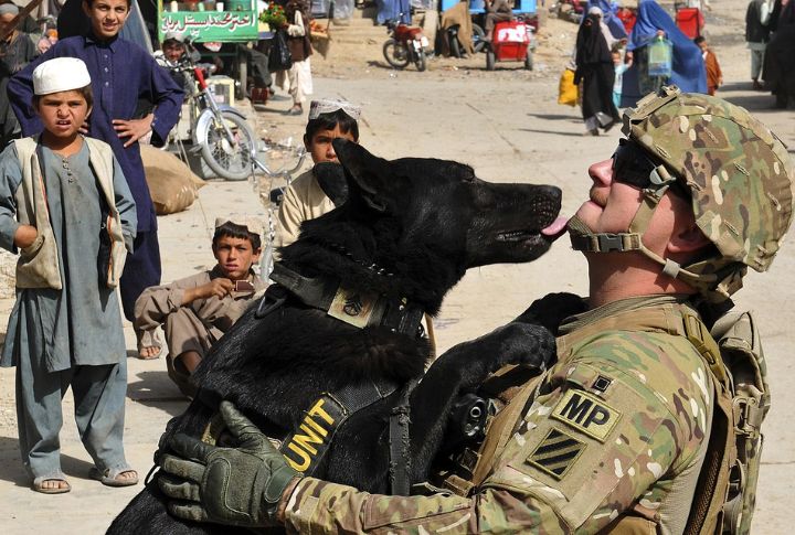 Easier Reintegration Into Civilian Life