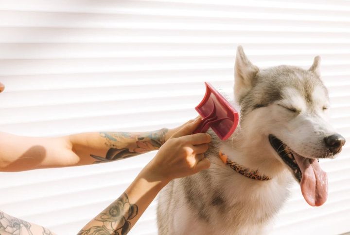 Grooming And Hygiene Standards Still Apply