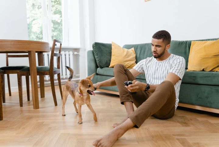 Engage In Gentle Social Play