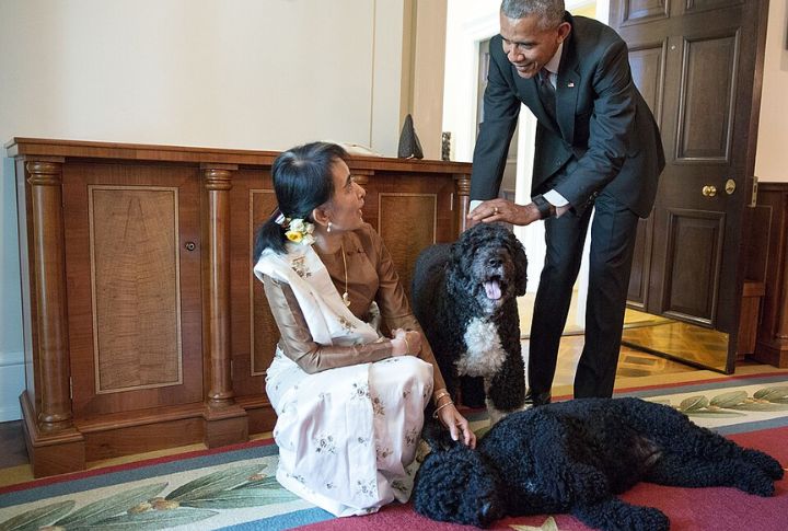 Barack Obama: Bo And Sunny
