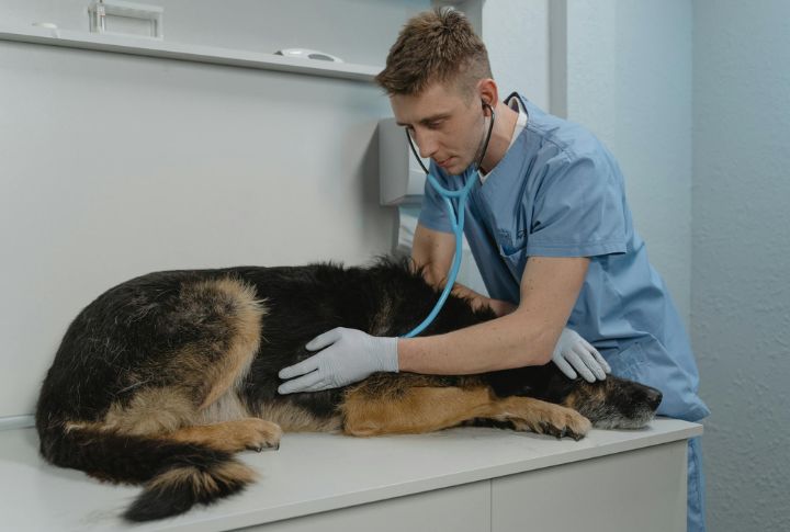 Ignored Signs Of Illness Or Injury