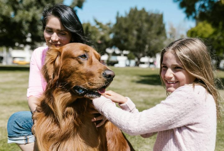 Don't Assume All Dogs Want To Interact