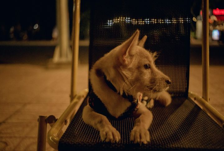 Trouble Settling Down At Night