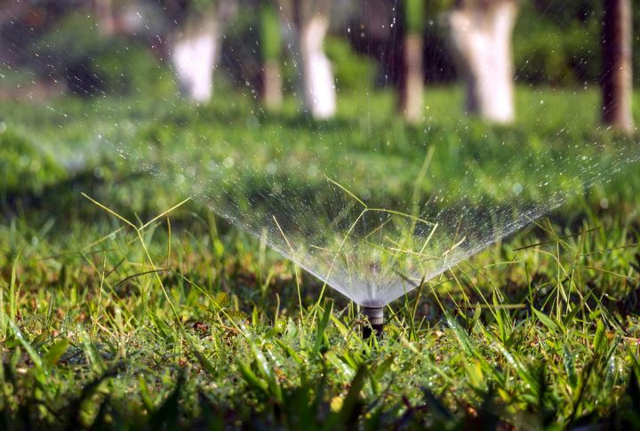 Set Up Motion-Activated Sprinklers