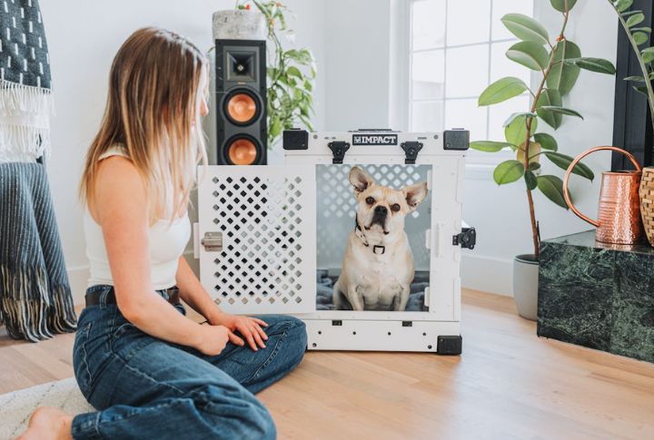 Desensitize with Sound Training