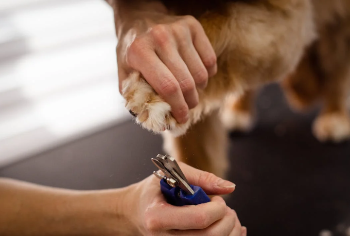 Keep Their Nails Trimmed