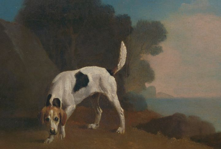Foxhound