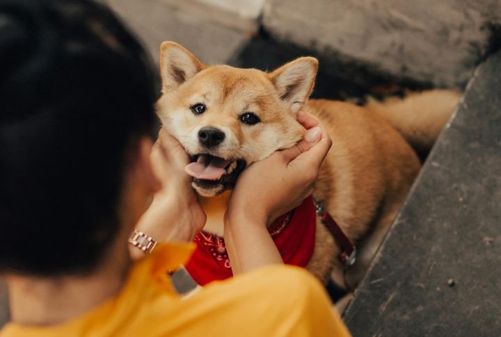 They Teach You To Communicate Without Words