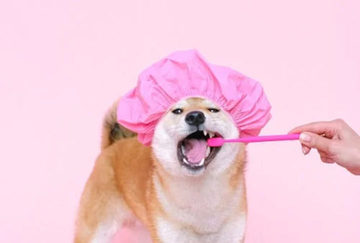 Don’t Skip Tooth Time