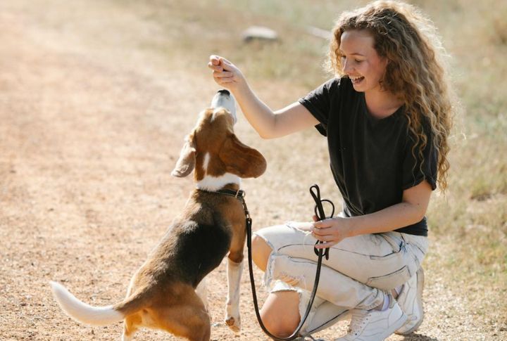 Give Treats With Positive Reinforcement