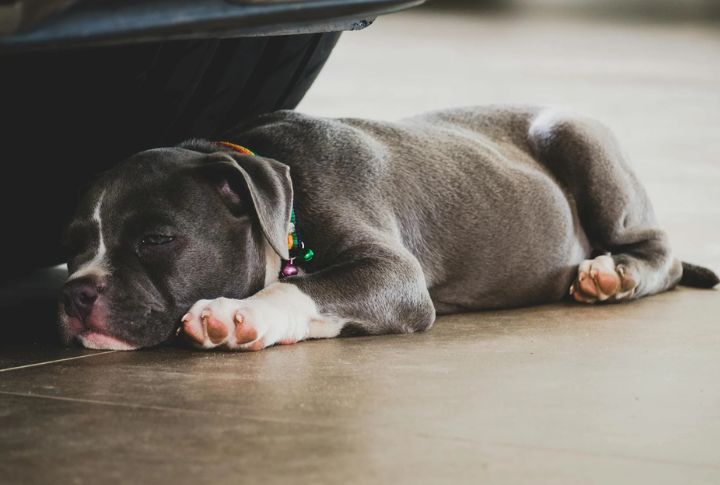 Constant Fatigue