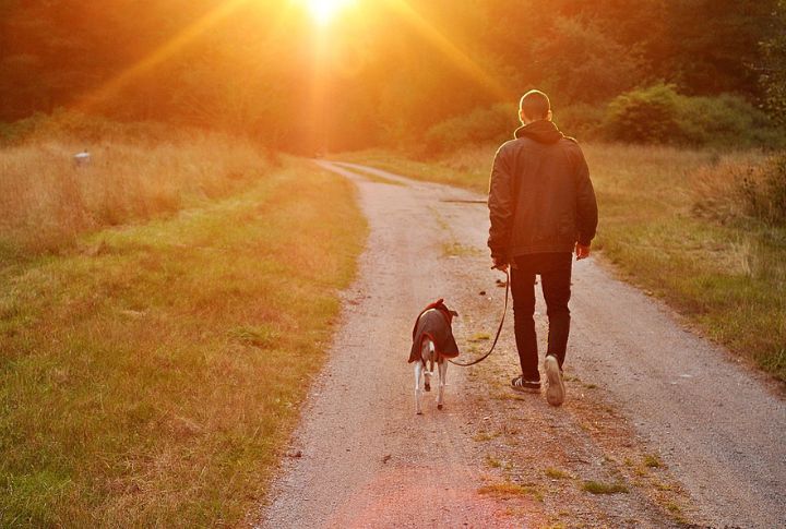 Take A Final Walk Together