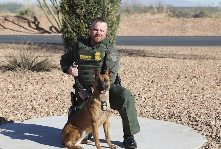 service Dogs Are Protected By Federal Law