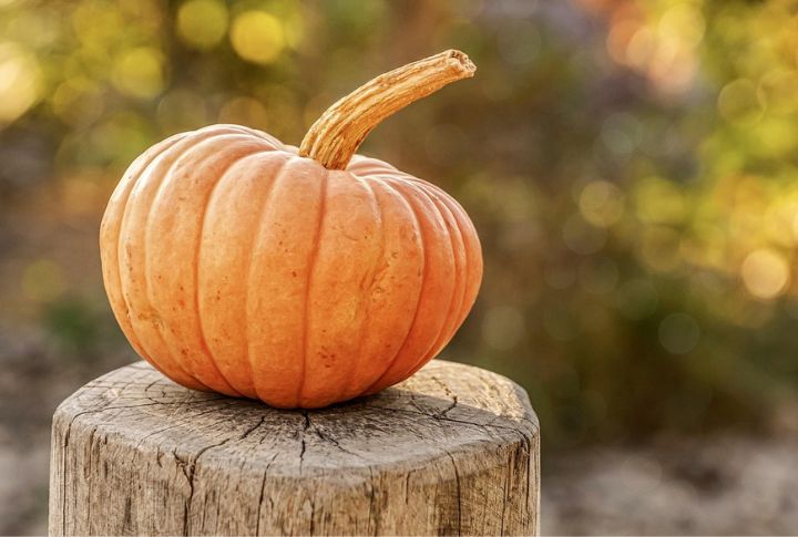 Pumpkin