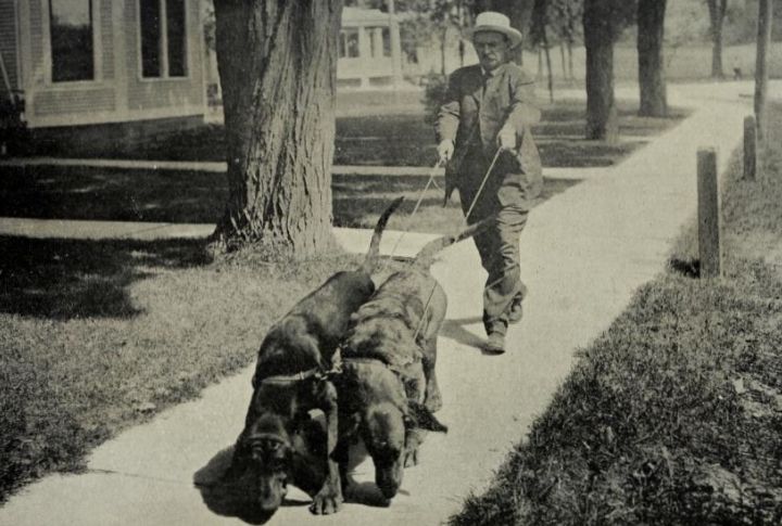 The Breed's History Runs Deep