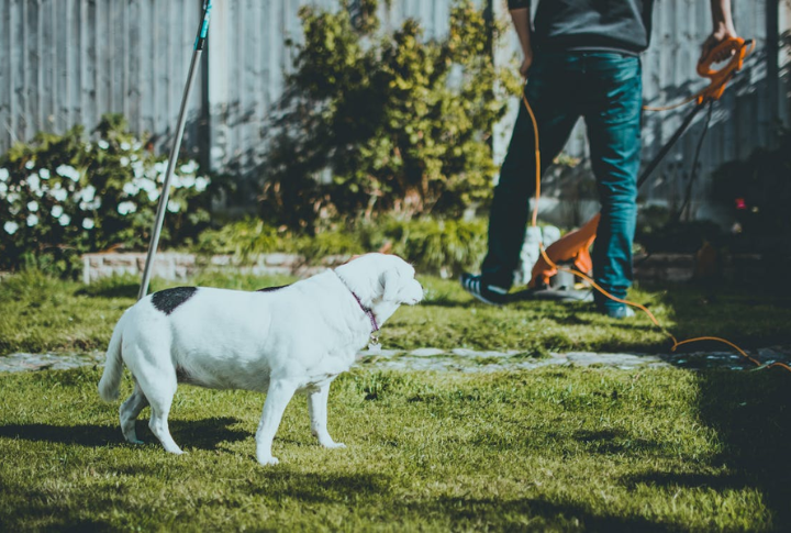 Watch The Backyard Time