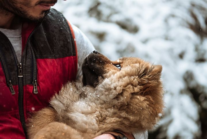 Dogs Show You How To Be Better Without Saying A Word