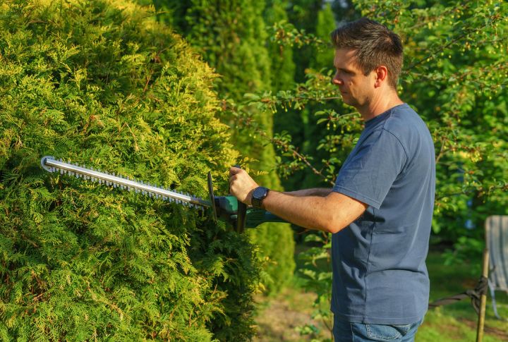 Trim Overgrown Vegetation Around Your Yard