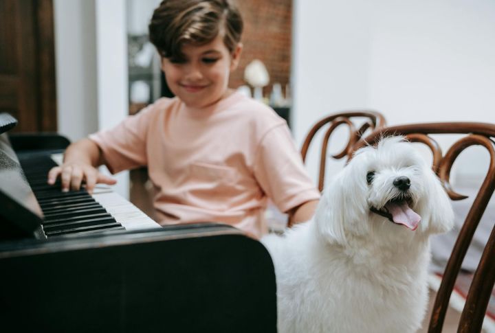 Use Calming Music Or White Noise