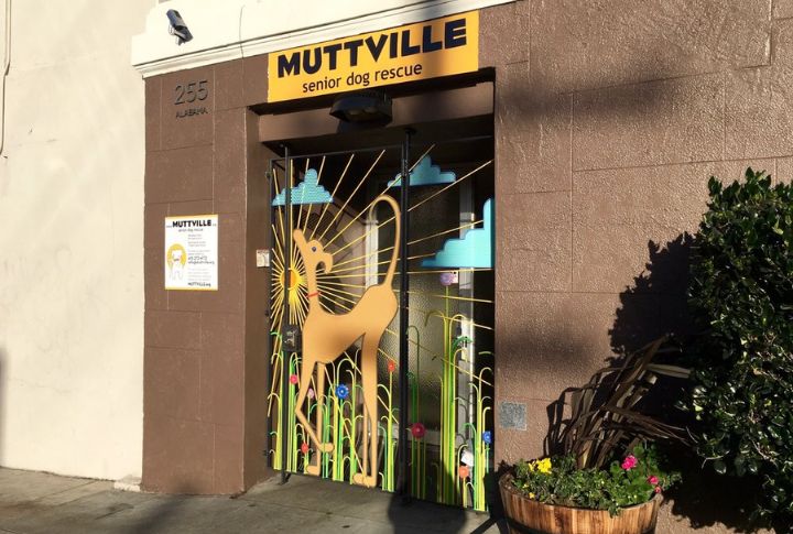 Muttville