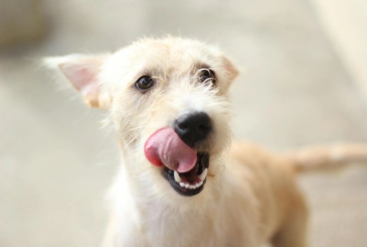 Lip Licking (Not After Eating)