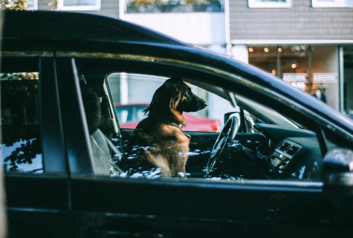 Confinement In Hot Cars