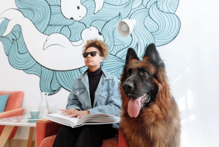 You Can't Be Asked For "Proof" Of Your Dog's Legitimacy